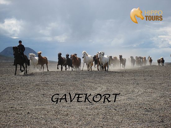 Gavekort 3