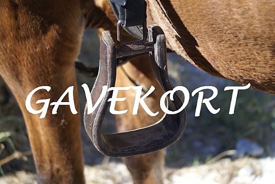 Gavekort 2