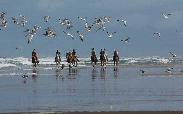 Strandtrail Ved Atlanterhavet - de sidste pladser -10%